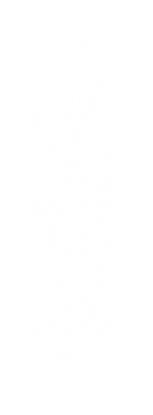 顶光 硬螺旋光